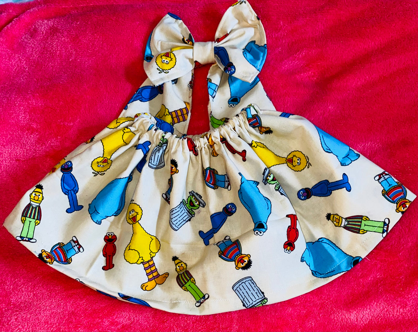 Sesame Street Inspired Skirt Set